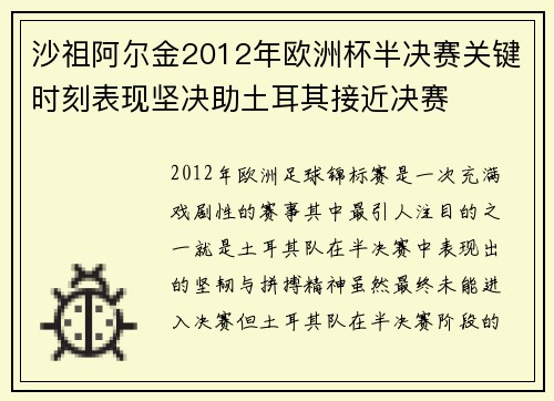 沙祖阿尔金2012年欧洲杯半决赛关键时刻表现坚决助土耳其接近决赛