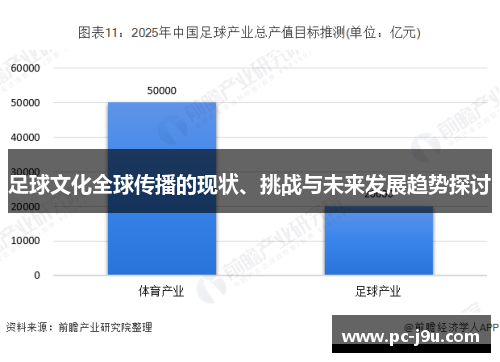 足球文化全球传播的现状、挑战与未来发展趋势探讨