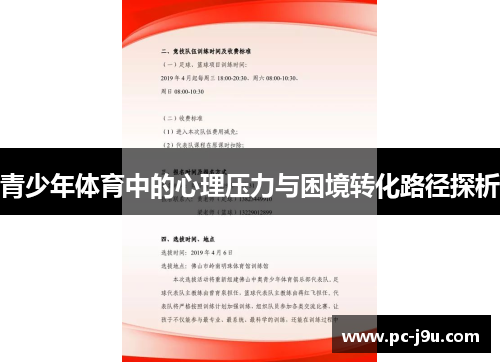 青少年体育中的心理压力与困境转化路径探析