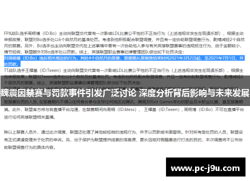 魏震因禁赛与罚款事件引发广泛讨论 深度分析背后影响与未来发展