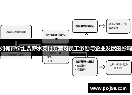 如何评价维贾薪水支付方案对员工激励与企业发展的影响