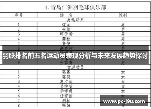 羽联排名前五名运动员表现分析与未来发展趋势探讨
