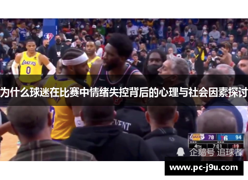 为什么球迷在比赛中情绪失控背后的心理与社会因素探讨