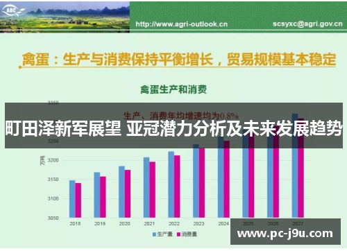 町田泽新军展望 亚冠潜力分析及未来发展趋势