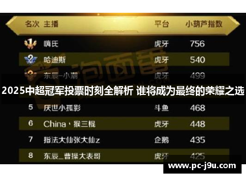 2025中超冠军投票时刻全解析 谁将成为最终的荣耀之选