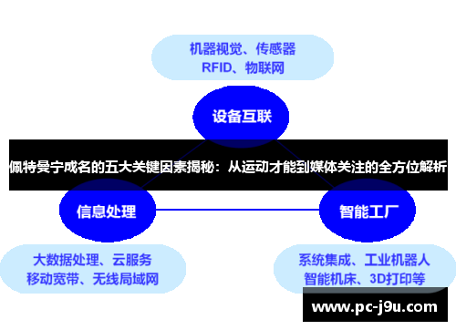 佩特曼宁成名的五大关键因素揭秘：从运动才能到媒体关注的全方位解析
