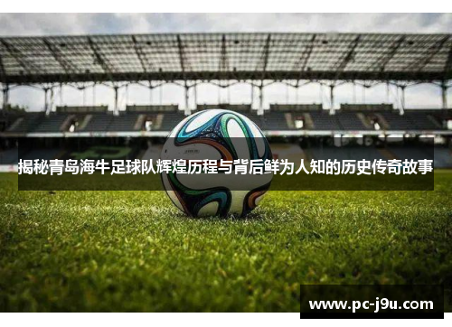 揭秘青岛海牛足球队辉煌历程与背后鲜为人知的历史传奇故事