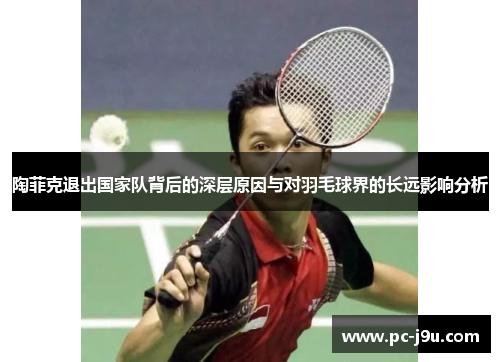 陶菲克退出国家队背后的深层原因与对羽毛球界的长远影响分析