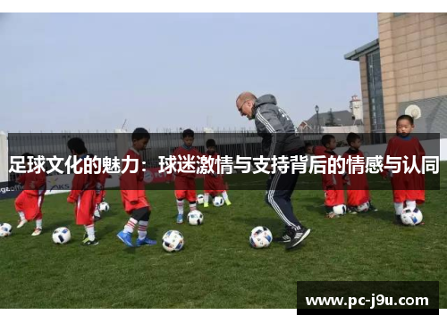 足球文化的魅力：球迷激情与支持背后的情感与认同