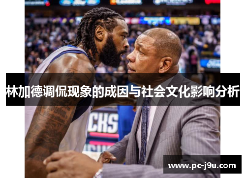 林加德调侃现象的成因与社会文化影响分析