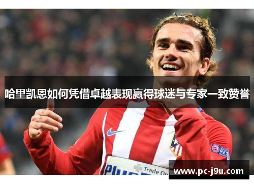 哈里凯恩如何凭借卓越表现赢得球迷与专家一致赞誉