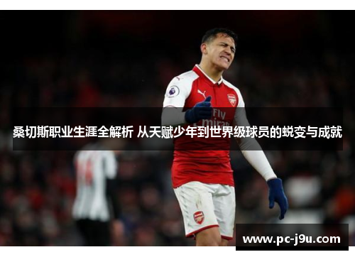 桑切斯职业生涯全解析 从天赋少年到世界级球员的蜕变与成就