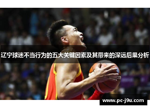 辽宁球迷不当行为的五大关键因素及其带来的深远后果分析